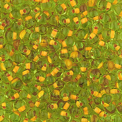 DPF-13:  Miyuki 3.4mm Drop Bead Coral Lined Chartreuse 